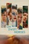 Nonton Film On Swift Horses (2025) Terbaru Nonton Film On Swift Horses (2025) Terbaru